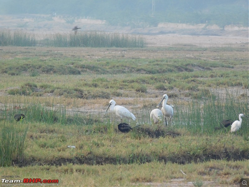 Run to the Little Rann, Dholavira and Lakhpat; a journey back in time-dscn2046.jpg