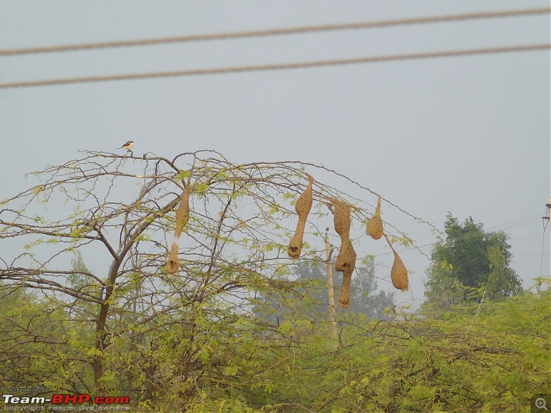 Run to the Little Rann, Dholavira and Lakhpat; a journey back in time-dscn2055.jpg