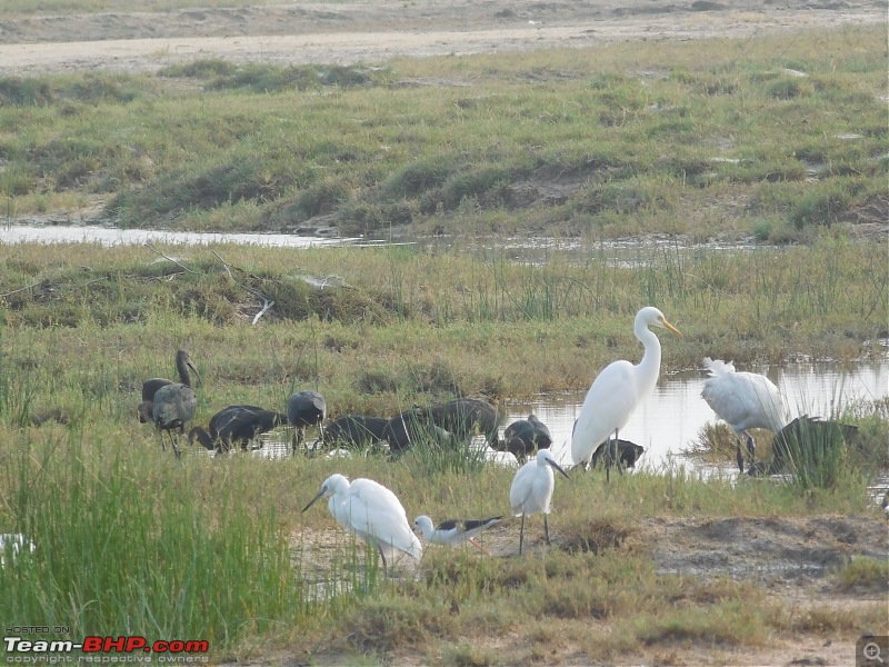 Run to the Little Rann, Dholavira and Lakhpat; a journey back in time-dscn2060.jpg