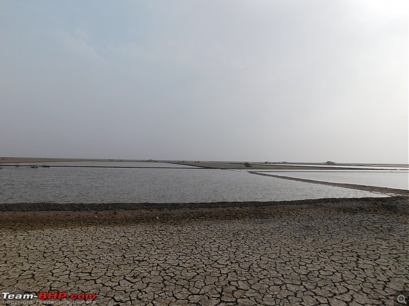 Run to the Little Rann, Dholavira and Lakhpat; a journey back in time-dscn2080.jpg