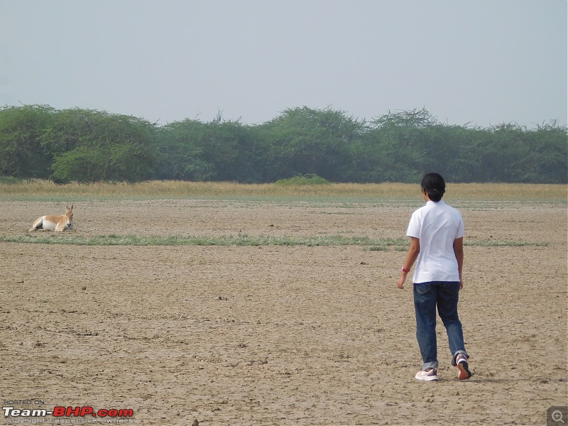 Run to the Little Rann, Dholavira and Lakhpat; a journey back in time-dscn2091.jpg