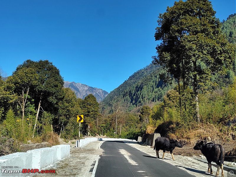 East Arunachal & West Meghalaya | 8000 km road-trip to the North East-img_20231220_095917742_hdr01.jpeg