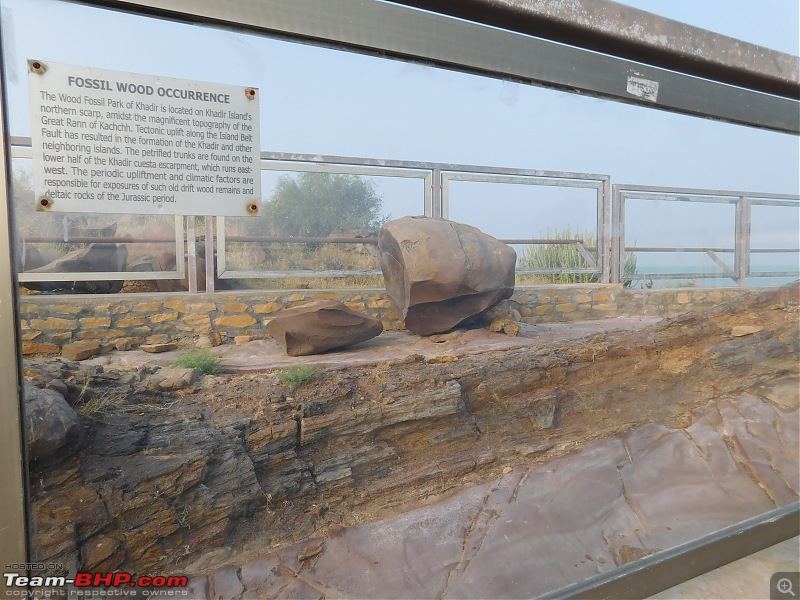 Run to the Little Rann, Dholavira and Lakhpat; a journey back in time-dscn2124.jpg