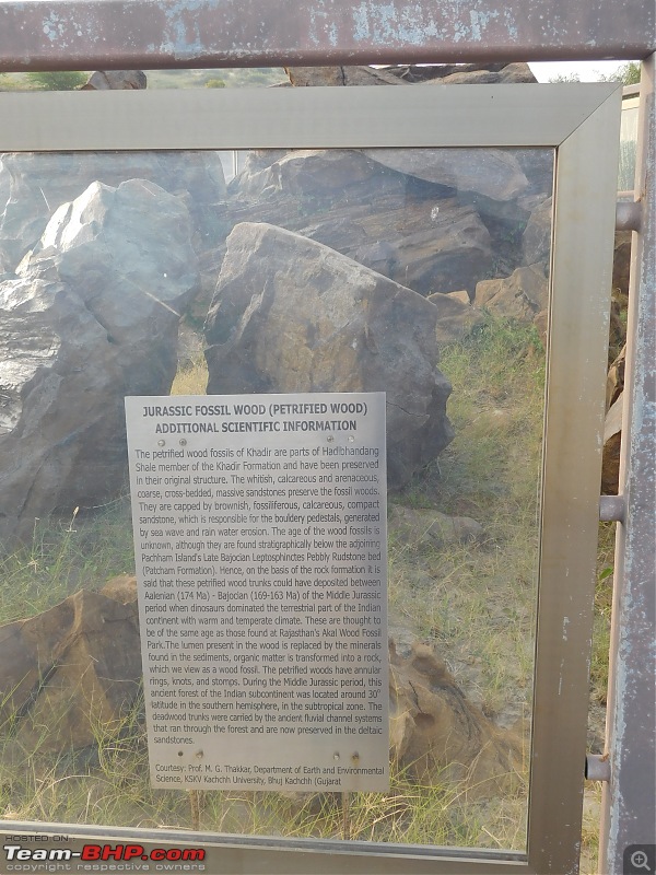Run to the Little Rann, Dholavira and Lakhpat; a journey back in time-dscn2129.jpg