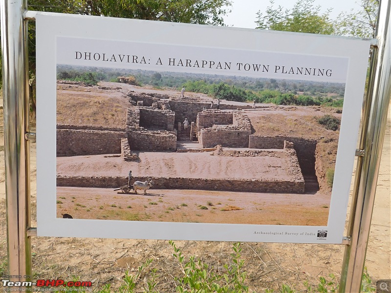 Run to the Little Rann, Dholavira and Lakhpat; a journey back in time-dscn2138.jpg