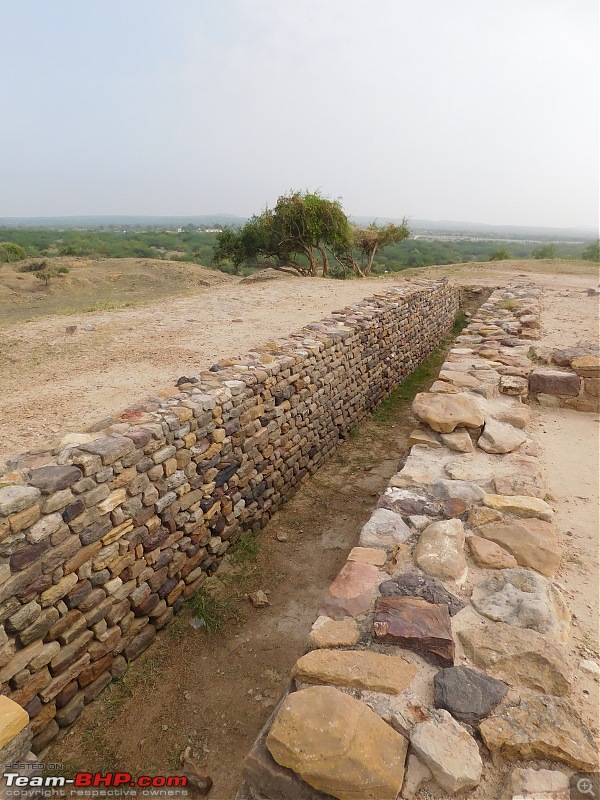 Run to the Little Rann, Dholavira and Lakhpat; a journey back in time-dscn2170.jpg