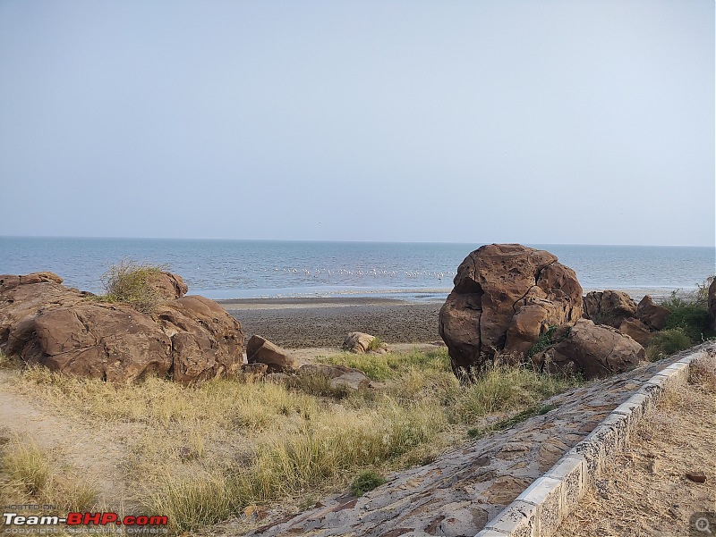 Run to the Little Rann, Dholavira and Lakhpat; a journey back in time-img_20231203_090439150.jpg