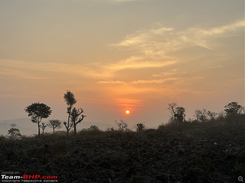 TheRedSparkle Story: B for Bandipur, B for Birding!-img_0042.jpg