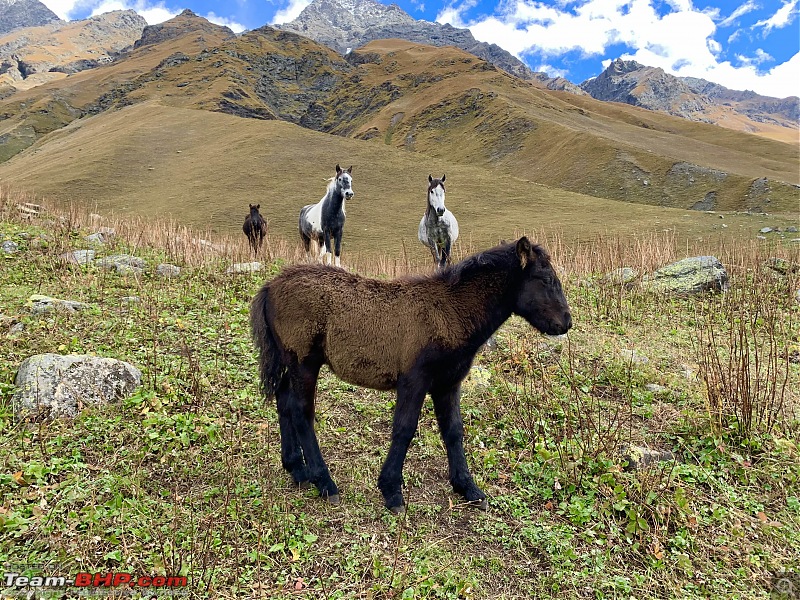 A walk to Spiti | A trekking travelogue-img_5522_copy_3722x2791.jpg