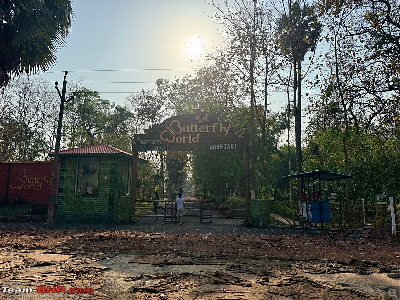 TheRedSparkle Story: T for Tadoba, T for Tigers!-img_0323.jpeg
