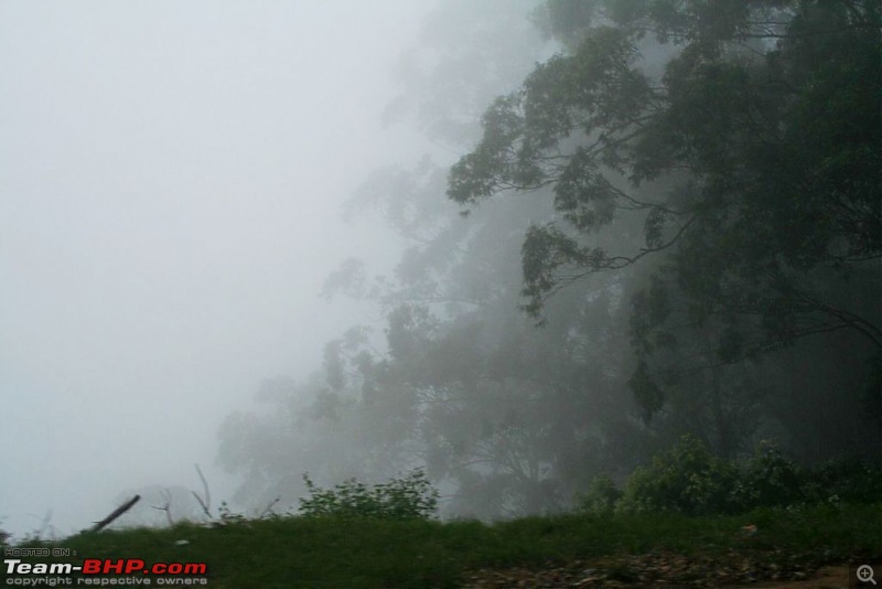 Three days in Valparai - Bliss!-img_3773.jpg