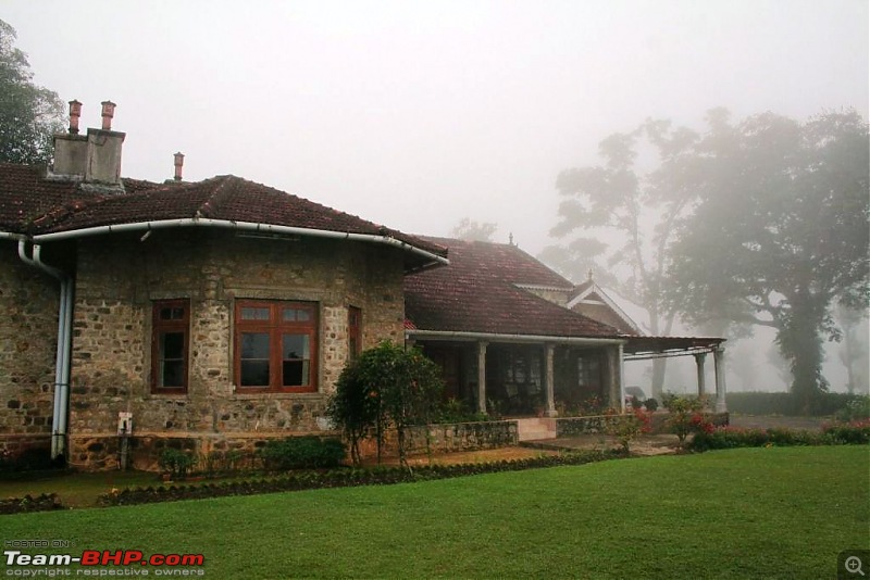 Three days in Valparai - Bliss!-img_3805.jpg