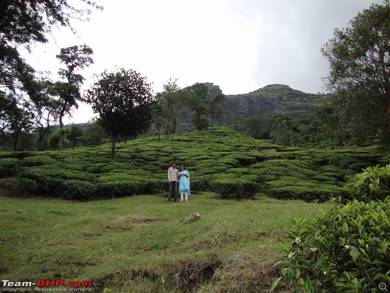 Hyd - Munnar (A Well Planned Trip Went Bad, But Still Enjoyed)-dsc00583tbhp.jpg