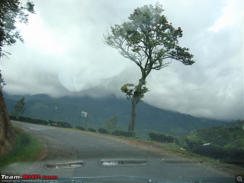 Hyd - Munnar (A Well Planned Trip Went Bad, But Still Enjoyed)-dsc00646tbhp.jpg