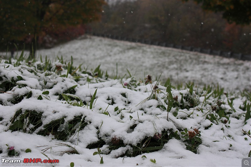 Niagara, New Jersey and New York-white-green.jpg