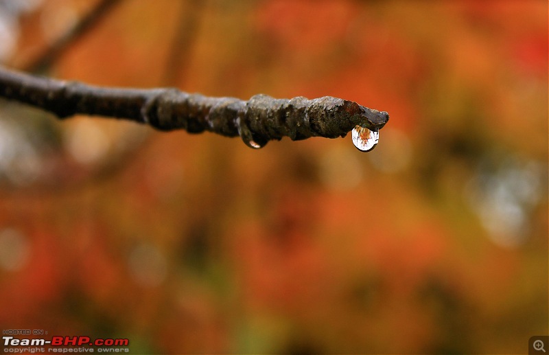 Niagara, New Jersey and New York-fall-drop.jpg