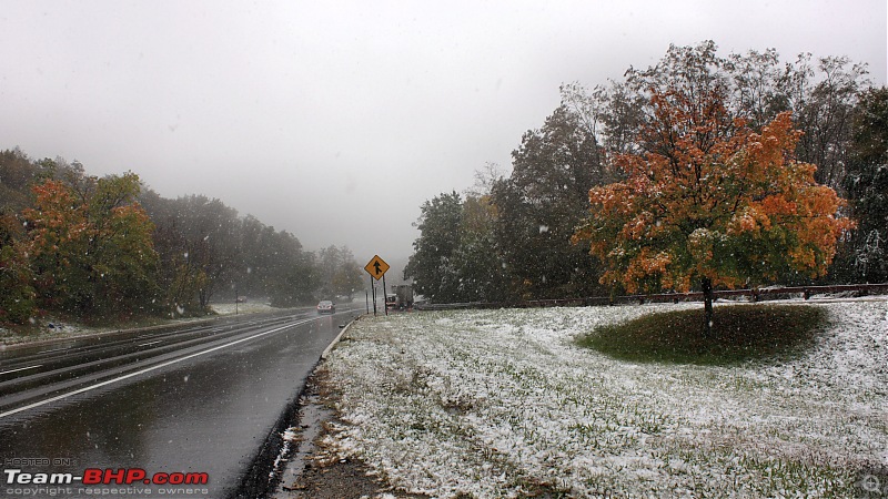 Niagara, New Jersey and New York-road-snow-tree.jpg