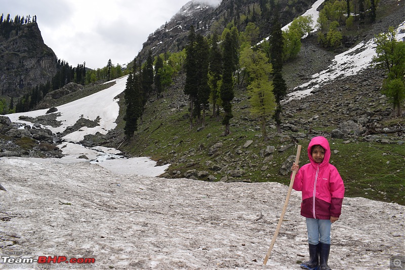 A Tale of Serenity: Discovering Kashmir's Charms-dsc_0280.jpg