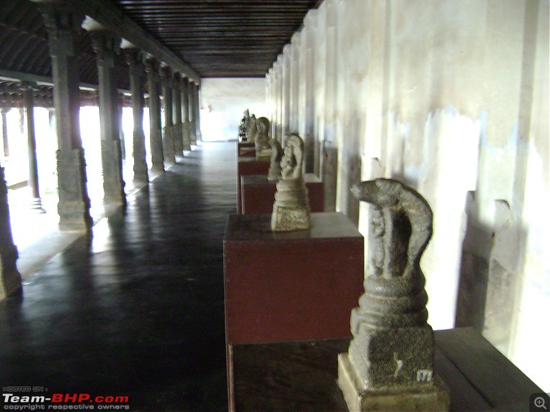Photoblog of destinations in & around Trivandrum, Kerala-dsc04663.jpg