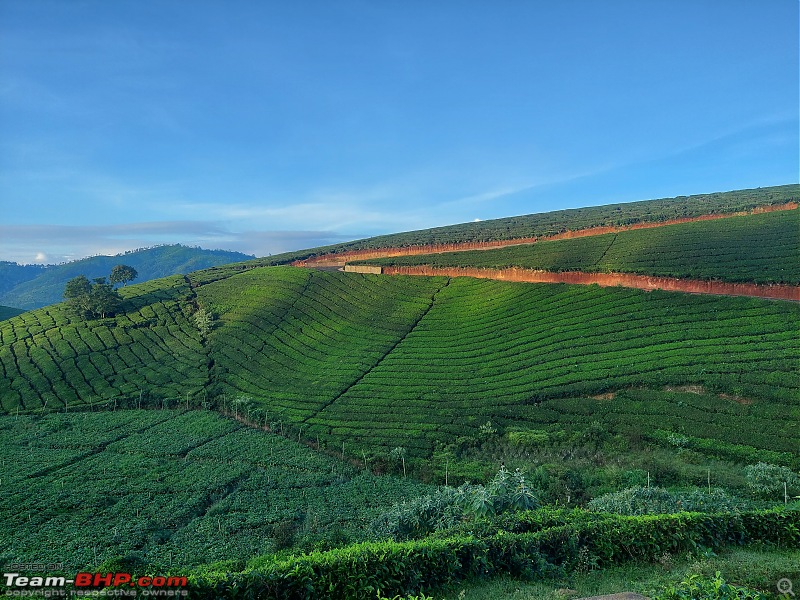 Beautiful Coonoor: An Independence weekend getaway in our i20-20240817_063933.jpg