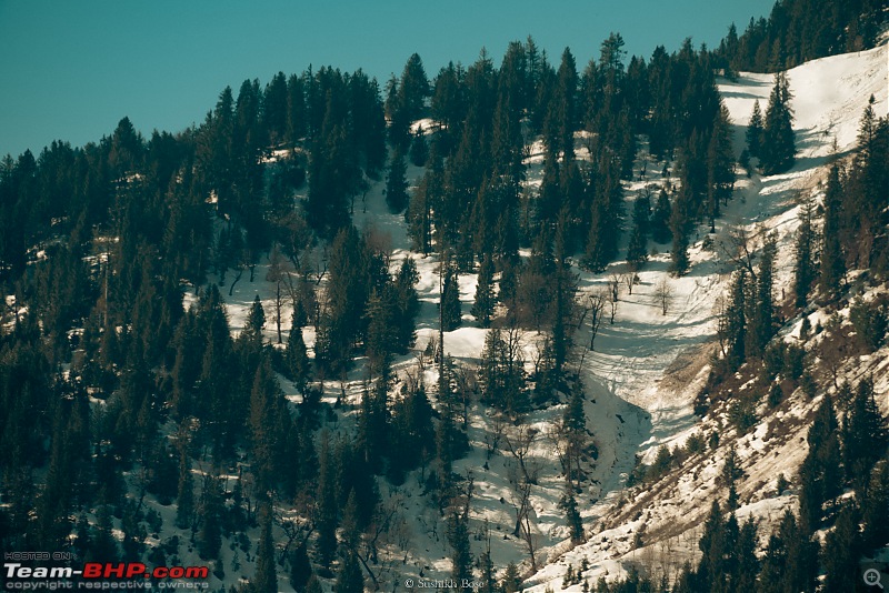 Manali | A runny nose, nostalgia and data loss-dsc_0626.jpg