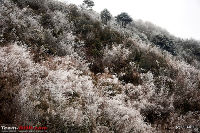 AP to AP: In search of a white X-mas and found a street party!-dsc_1600.jpg