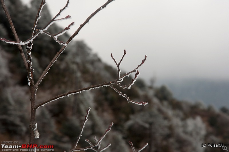 AP to AP: In search of a white X-mas and found a street party!-dsc_1603.jpg