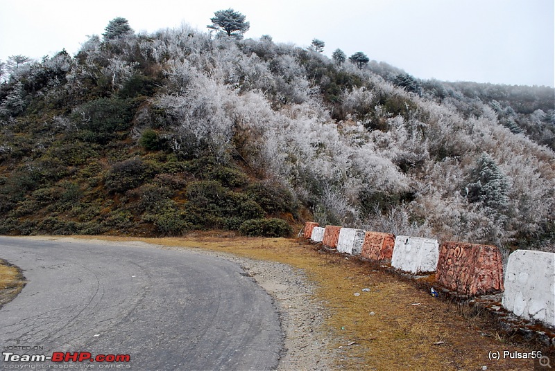 AP to AP: In search of a white X-mas and found a street party!-dsc_1604.jpg