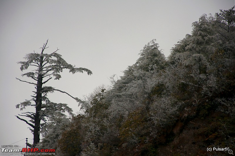 AP to AP: In search of a white X-mas and found a street party!-dsc_1631.jpg