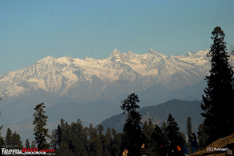 Himachal Pradesh : "The Great Hunt for Snowfall" but found just snow-dsc_0527.jpg