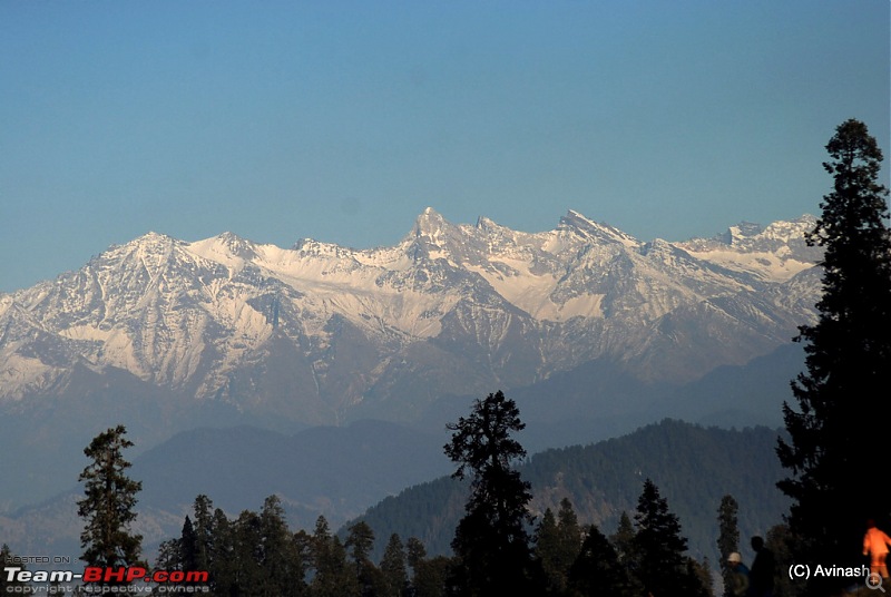 Himachal Pradesh : "The Great Hunt for Snowfall" but found just snow-dsc_0528.jpg