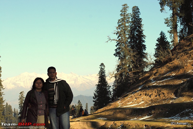 Himachal Pradesh : "The Great Hunt for Snowfall" but found just snow-dsc_0532.jpg