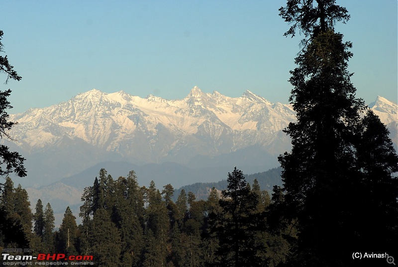 Himachal Pradesh : "The Great Hunt for Snowfall" but found just snow-dsc_0534.jpg