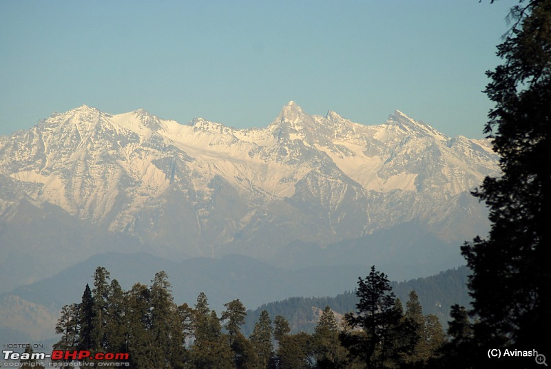 Himachal Pradesh : "The Great Hunt for Snowfall" but found just snow-dsc_0535.jpg