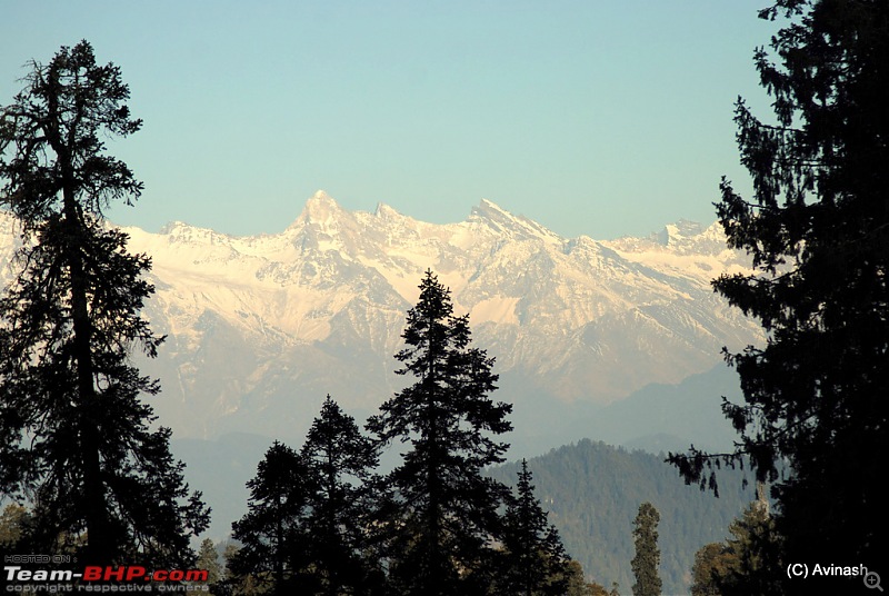 Himachal Pradesh : "The Great Hunt for Snowfall" but found just snow-dsc_0550.jpg
