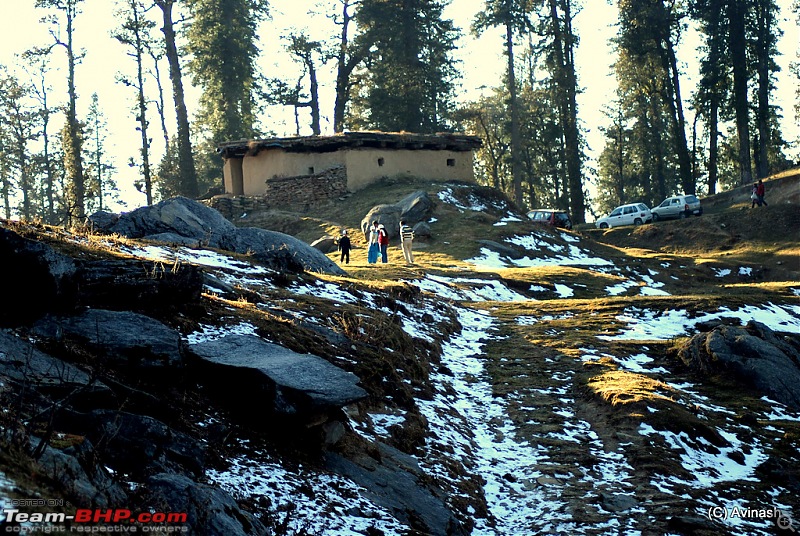Himachal Pradesh : "The Great Hunt for Snowfall" but found just snow-dsc_0552.jpg