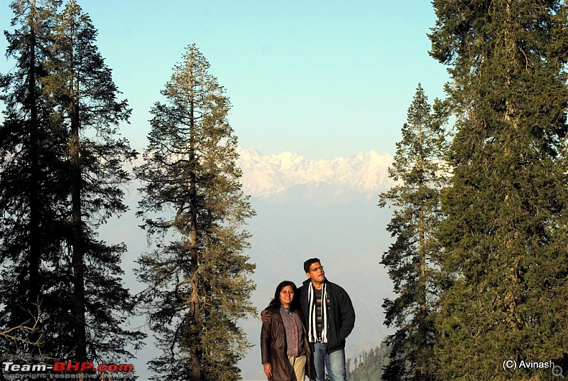 Himachal Pradesh : "The Great Hunt for Snowfall" but found just snow-dsc_0555.jpg