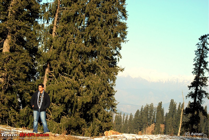 Himachal Pradesh : "The Great Hunt for Snowfall" but found just snow-dsc_0556.jpg