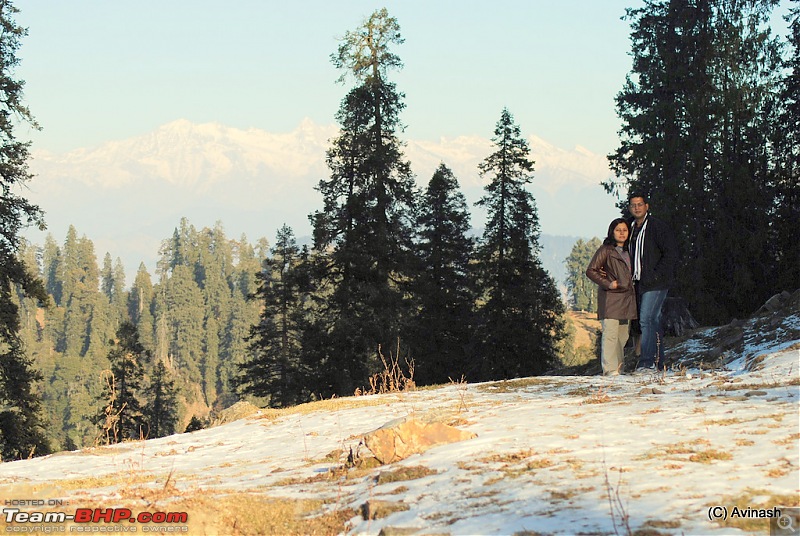 Himachal Pradesh : "The Great Hunt for Snowfall" but found just snow-dsc_0557.jpg