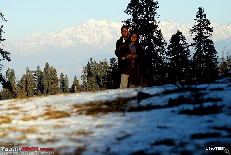 Himachal Pradesh : "The Great Hunt for Snowfall" but found just snow-dsc_0558.jpg