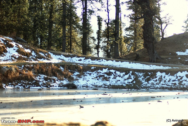 Himachal Pradesh : "The Great Hunt for Snowfall" but found just snow-dsc_0576.jpg