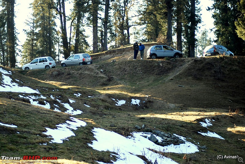 Himachal Pradesh : "The Great Hunt for Snowfall" but found just snow-dsc_0565.jpg