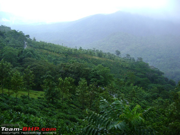 CVT trip to Ponmudi, near Trivandrum-tn_dsc01792.jpg