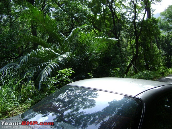 CVT trip to Ponmudi, near Trivandrum-tn_dsc01832.jpg