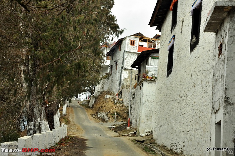 AP to AP: In search of a white X-mas and found a street party!-dsc_1922.jpg