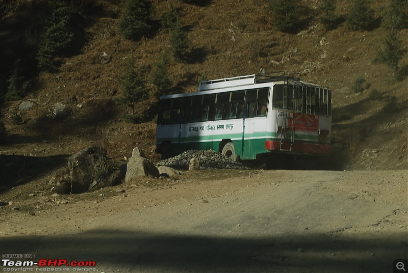 Himachal Pradesh : "The Great Hunt for Snowfall" but found just snow-dsc_0928.jpg