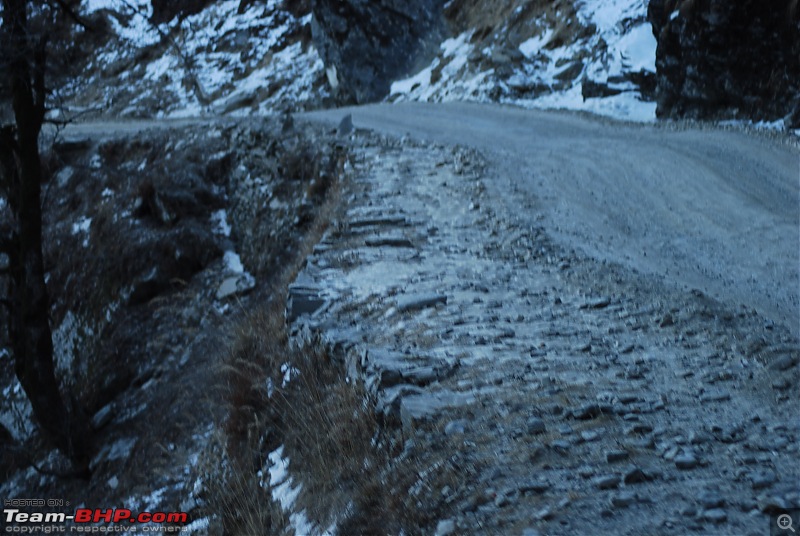 Himachal Pradesh : "The Great Hunt for Snowfall" but found just snow-dsc_0967.jpg