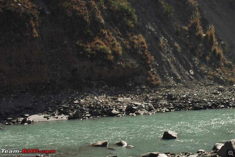 Himachal Pradesh : "The Great Hunt for Snowfall" but found just snow-dsc_0773.jpg