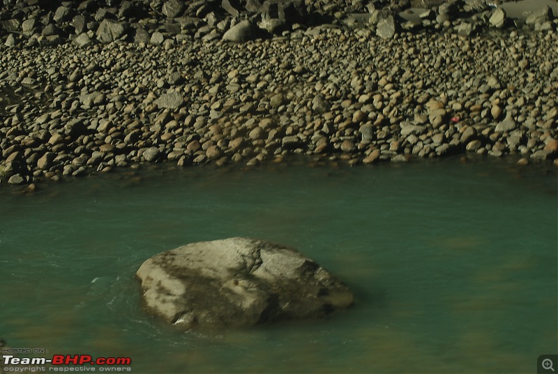 Himachal Pradesh : "The Great Hunt for Snowfall" but found just snow-dsc_0752.jpg