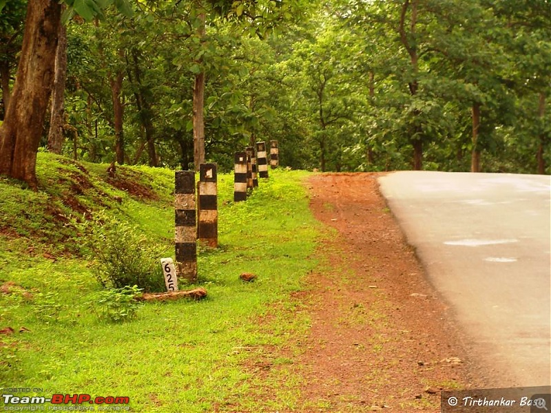 DRIVOBLOG|NH7 Jungle Road through Pench and Bison Retreat @ Seoni District, MP-slide6.jpg